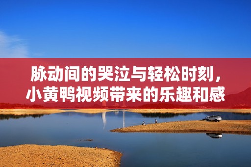 脉动间的哭泣与轻松时刻，小黄鸭视频带来的乐趣和感动