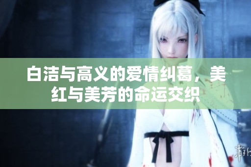 白洁与高义的爱情纠葛，美红与美芳的命运交织