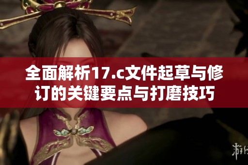 全面解析17.c文件起草与修订的关键要点与打磨技巧