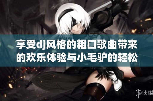 享受dj风格的粗口歌曲带来的欢乐体验与小毛驴的轻松旋律