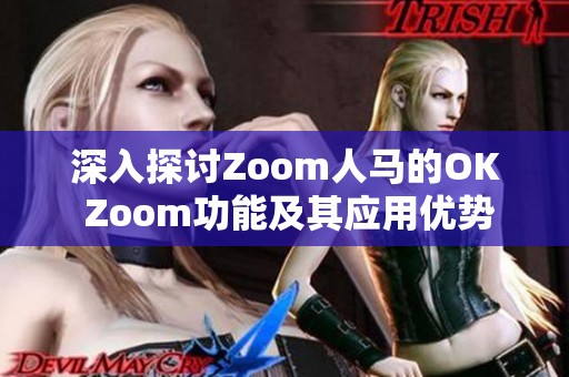 深入探讨Zoom人马的OK Zoom功能及其应用优势