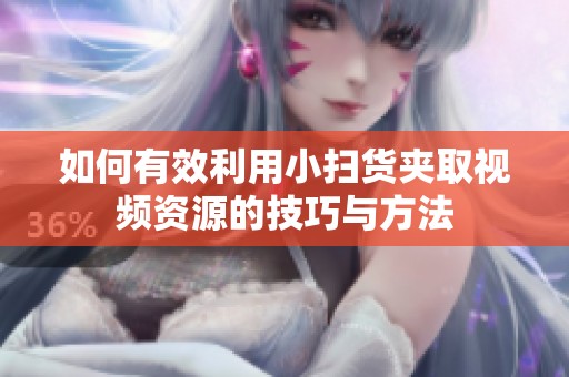 如何有效利用小扫货夹取视频资源的技巧与方法