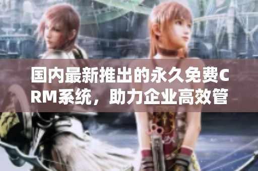 国内最新推出的永久免费CRM系统，助力企业高效管理客户关系