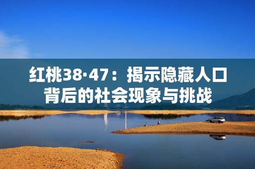 红桃38·47：揭示隐藏人口背后的社会现象与挑战