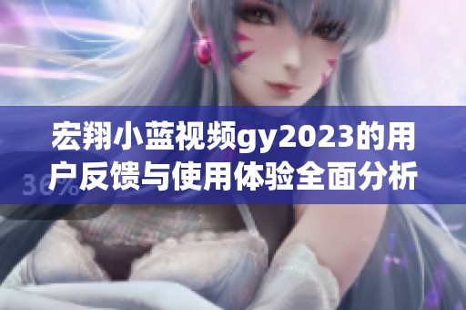 宏翔小蓝视频gy2023的用户反馈与使用体验全面分析