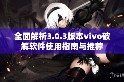 全面解析3.0.3版本vivo破解软件使用指南与推荐
