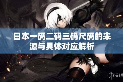 日本一码二码三码尺码的来源与具体对应解析