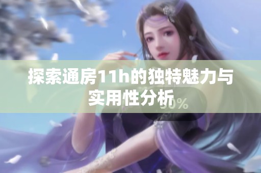 探索通房11h的独特魅力与实用性分析