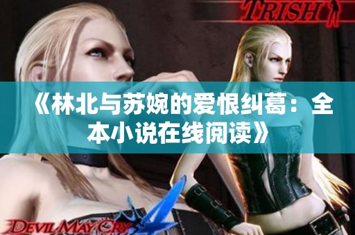 《林北与苏婉的爱恨纠葛：全本小说在线阅读》