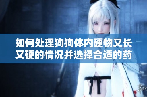 如何处理狗狗体内硬物又长又硬的情况并选择合适的药物
