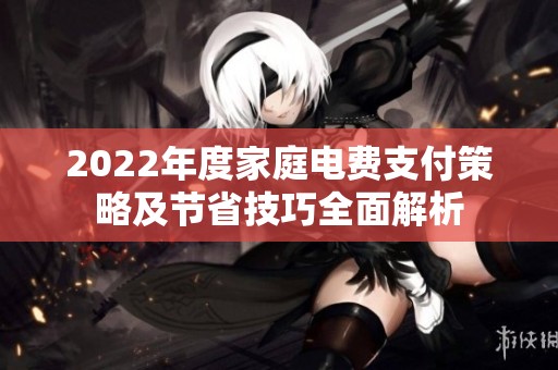 2022年度家庭电费支付策略及节省技巧全面解析