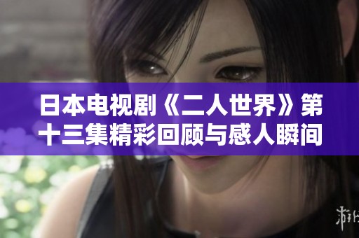 日本电视剧《二人世界》第十三集精彩回顾与感人瞬间解析
