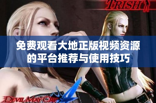 免费观看大地正版视频资源的平台推荐与使用技巧