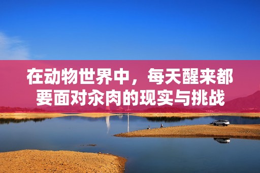 在动物世界中，每天醒来都要面对汆肉的现实与挑战