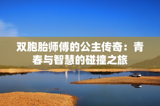 双胞胎师傅的公主传奇：青春与智慧的碰撞之旅