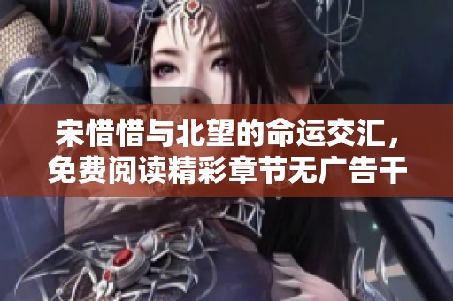 宋惜惜与北望的命运交汇，免费阅读精彩章节无广告干扰