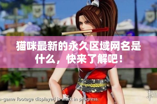 猫咪最新的永久区域网名是什么，快来了解吧！