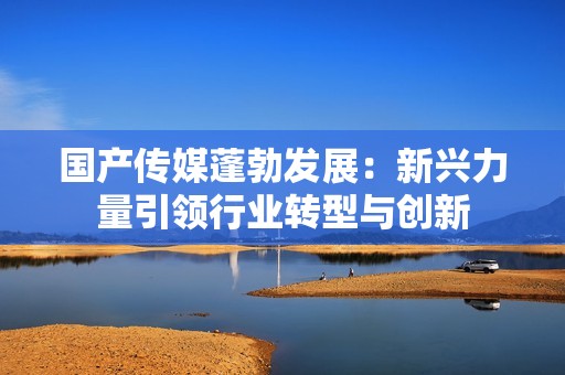国产传媒蓬勃发展：新兴力量引领行业转型与创新