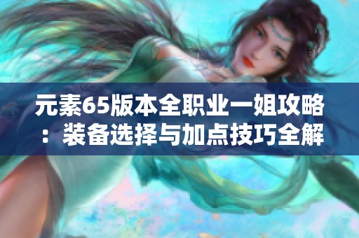 元素65版本全职业一姐攻略：装备选择与加点技巧全解析