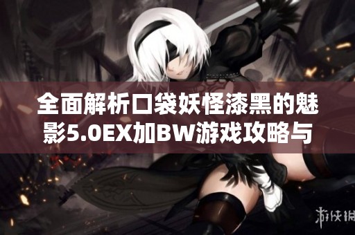 全面解析口袋妖怪漆黑的魅影5.0EX加BW游戏攻略与特色玩法