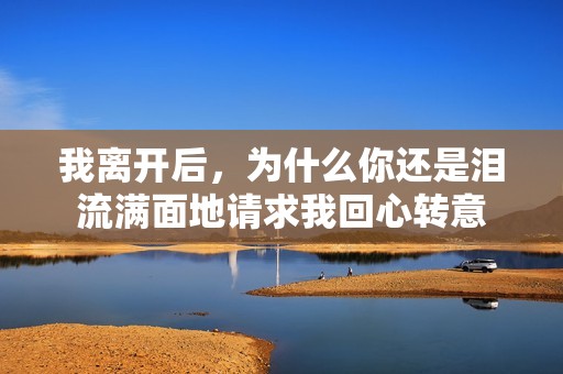 我离开后，为什么你还是泪流满面地请求我回心转意