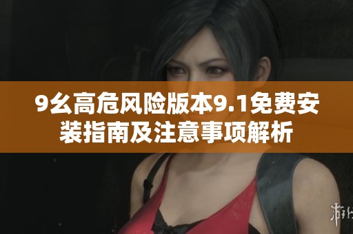 9幺高危风险版本9.1免费安装指南及注意事项解析