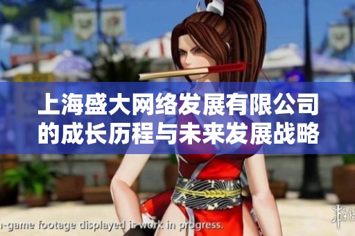 上海盛大网络发展有限公司的成长历程与未来发展战略分析