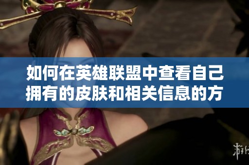 如何在英雄联盟中查看自己拥有的皮肤和相关信息的方法介绍