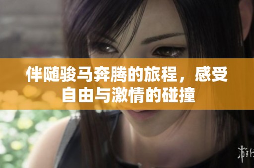 伴随骏马奔腾的旅程，感受自由与激情的碰撞