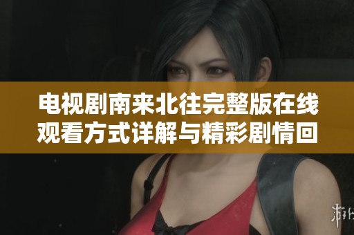 电视剧南来北往完整版在线观看方式详解与精彩剧情回顾