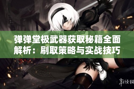 弹弹堂极武器获取秘籍全面解析：刷取策略与实战技巧大揭秘