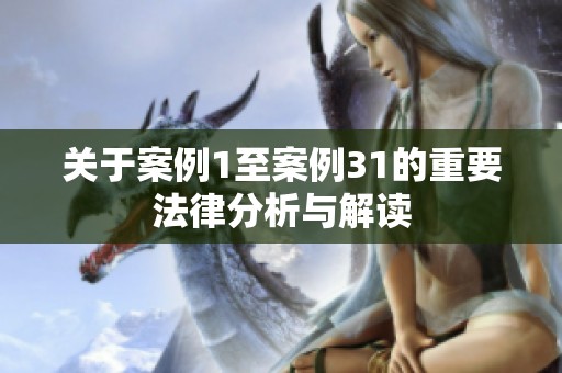 关于案例1至案例31的重要法律分析与解读
