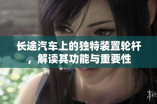 长途汽车上的独特装置轮杆，解读其功能与重要性