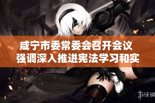 咸宁市委常委会召开会议 强调深入推进宪法学习和实施工作