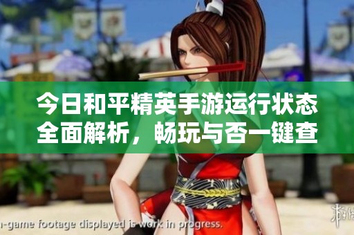 今日和平精英手游运行状态全面解析，畅玩与否一键查询技巧揭秘