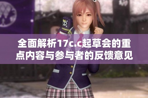 全面解析17c.c起草会的重点内容与参与者的反馈意见