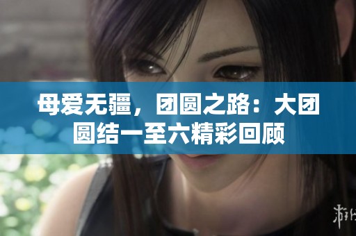 母爱无疆，团圆之路：大团圆结一至六精彩回顾