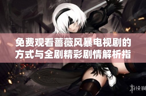 免费观看蔷薇风暴电视剧的方式与全剧精彩剧情解析指南
