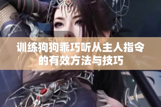 训练狗狗乖巧听从主人指令的有效方法与技巧