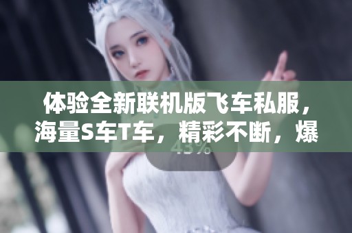 体验全新联机版飞车私服，海量S车T车，精彩不断，爆率优异，游戏稳定畅快