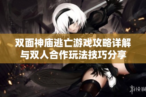 双面神庙逃亡游戏攻略详解与双人合作玩法技巧分享