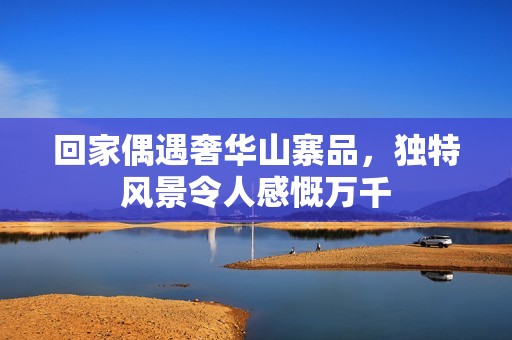 回家偶遇奢华山寨品，独特风景令人感慨万千