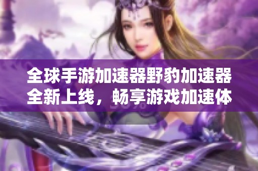 全球手游加速器野豹加速器全新上线，畅享游戏加速体验
