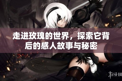 走进玫瑰的世界，探索它背后的感人故事与秘密