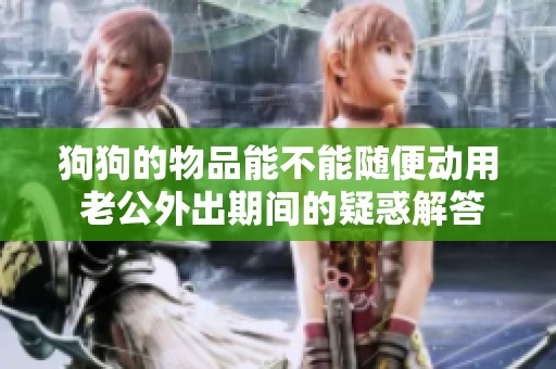 狗狗的物品能不能随便动用 老公外出期间的疑惑解答