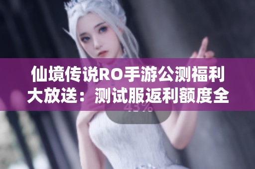 仙境传说RO手游公测福利大放送：测试服返利额度全面解析