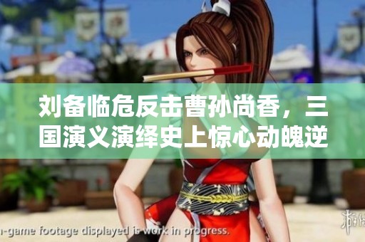 刘备临危反击曹孙尚香，三国演义演绎史上惊心动魄逆转