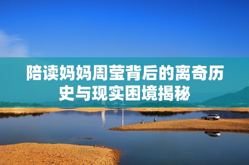 陪读妈妈周莹背后的离奇历史与现实困境揭秘