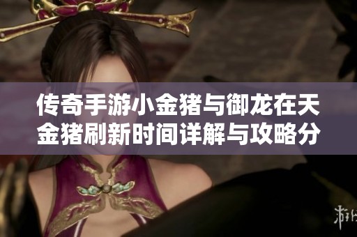 传奇手游小金猪与御龙在天金猪刷新时间详解与攻略分享
