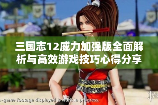 三国志12威力加强版全面解析与高效游戏技巧心得分享